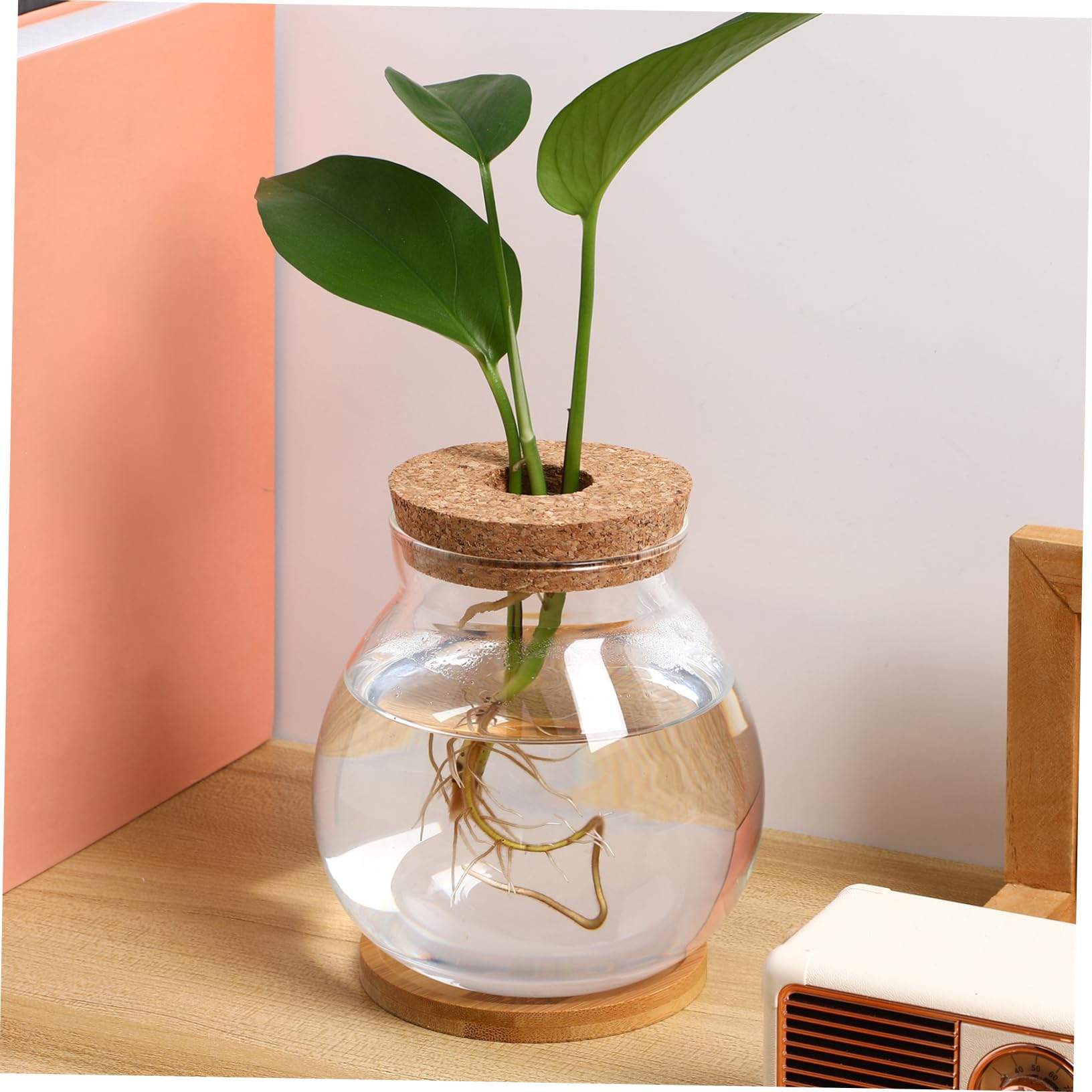 Glass Terrarium with Lid - Goldfish Bowl, Betta Fish Tank, Hydroponic Plant Vase for Office Desk Decor | Perfect for Home Aquarium, Indoor Gardening & Zen Bamboo Arrangements