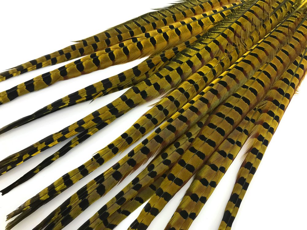 50 Pieces Natural Long Ringneck Pheasant Tail Feathers - Yellow Dyed Bulk Wholesale (18-22