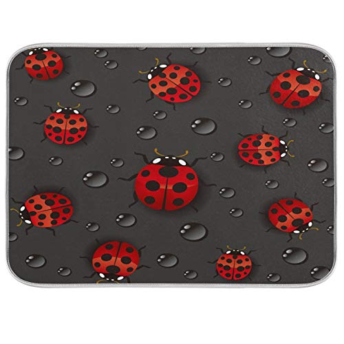 6 Ladybugs
