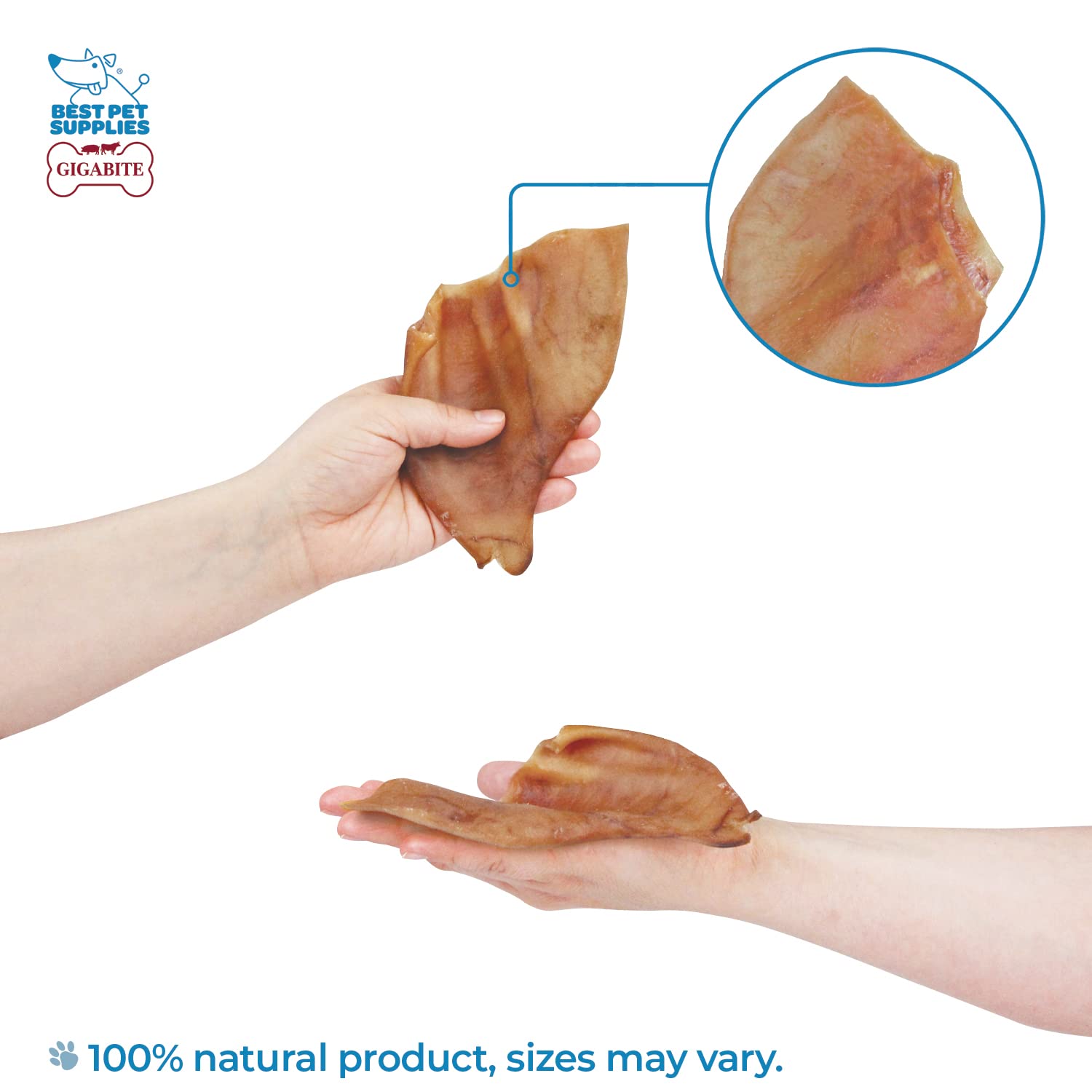 Premium Roasted Pig Ears for Dogs - 25 Pack All-Natural Dog Chews | Safe for Puppies & Aggressive Chewers | Promotes Dental Health by Cleaning Teeth & Gums | Perfect for Training Rewards, Anxiety Relief, and Long-Lasting Chewing Satisfaction