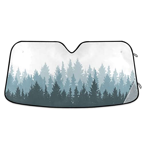 Coniferous Forest