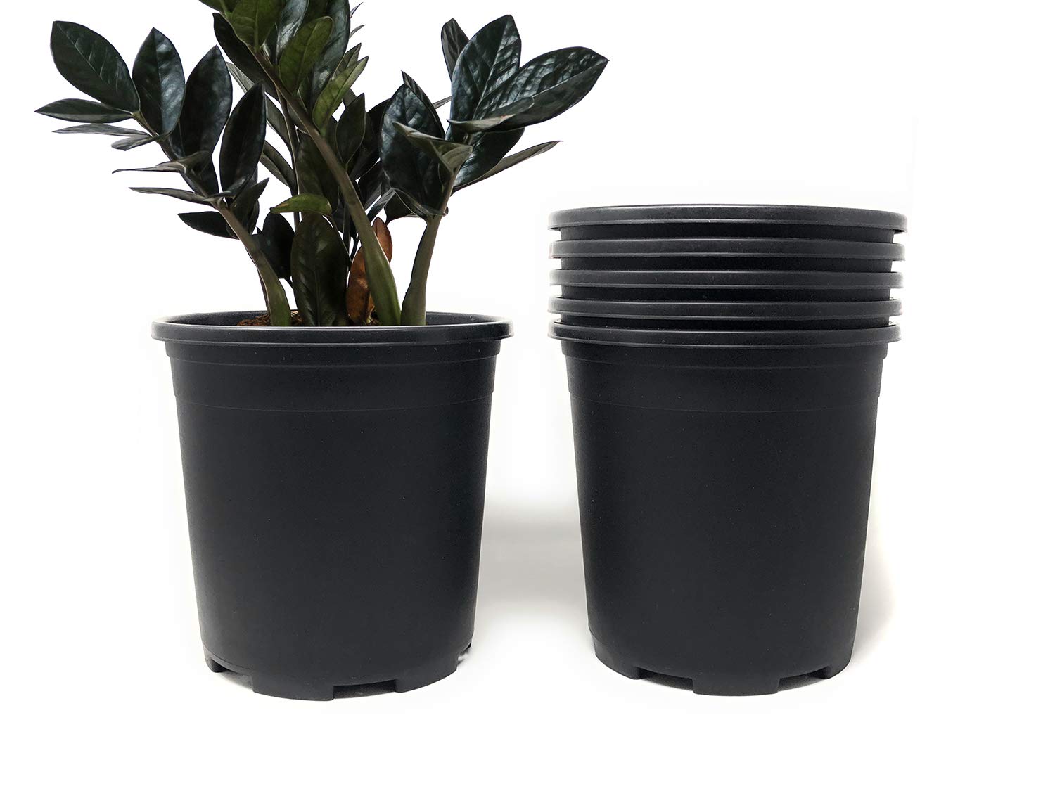 **30-Pack 2 Gallon 9 Inch Black Plastic Planters with Drainage Holes - Wholesale Nursery Pots for Indoor & Outdoor Plants, Gardening, Flowers - Perfect for Home, Office, and Garden Decor**