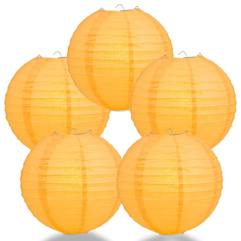5 Pack 6