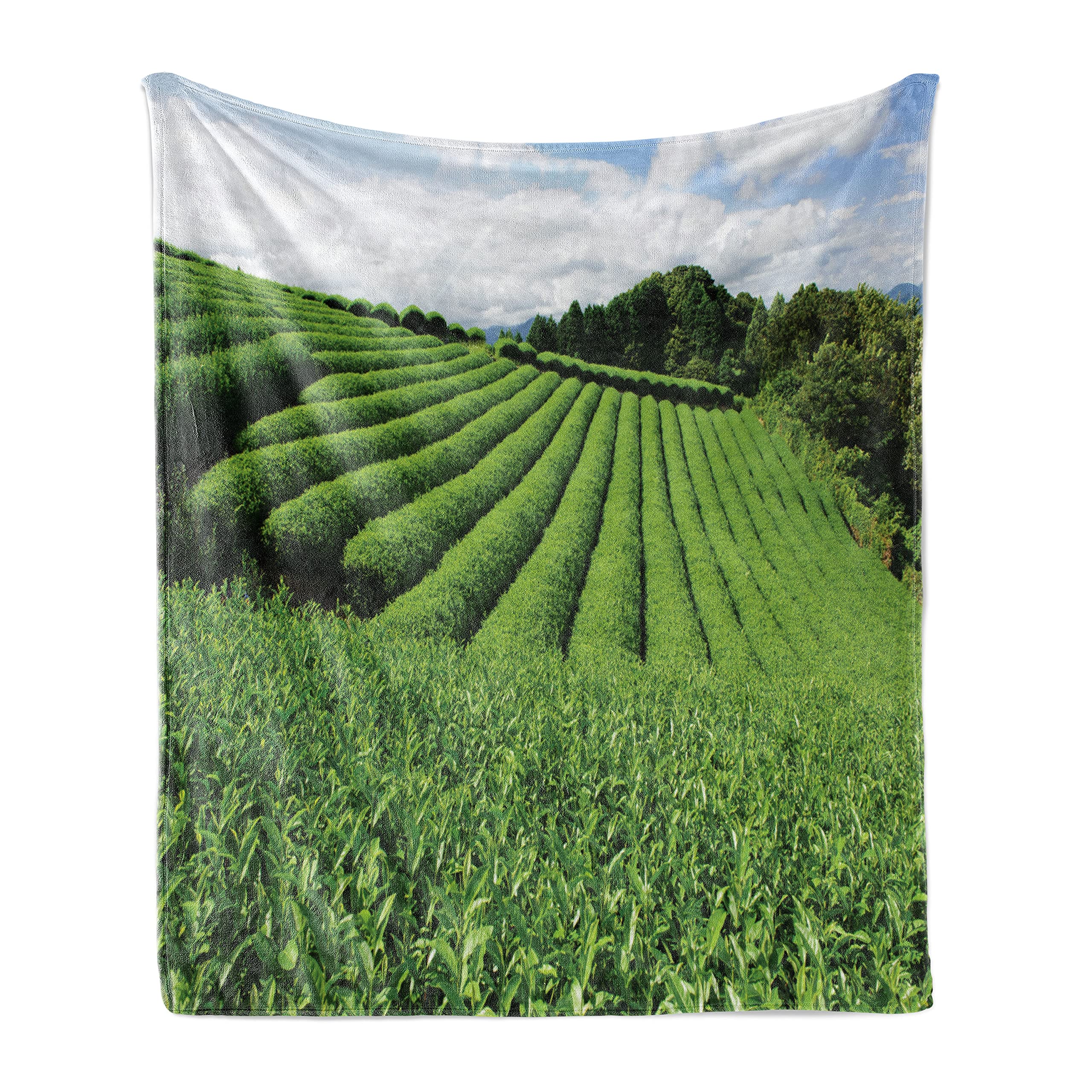 Ambesonne Nature Themed Flannel Fleece Throw Blanket - 70
