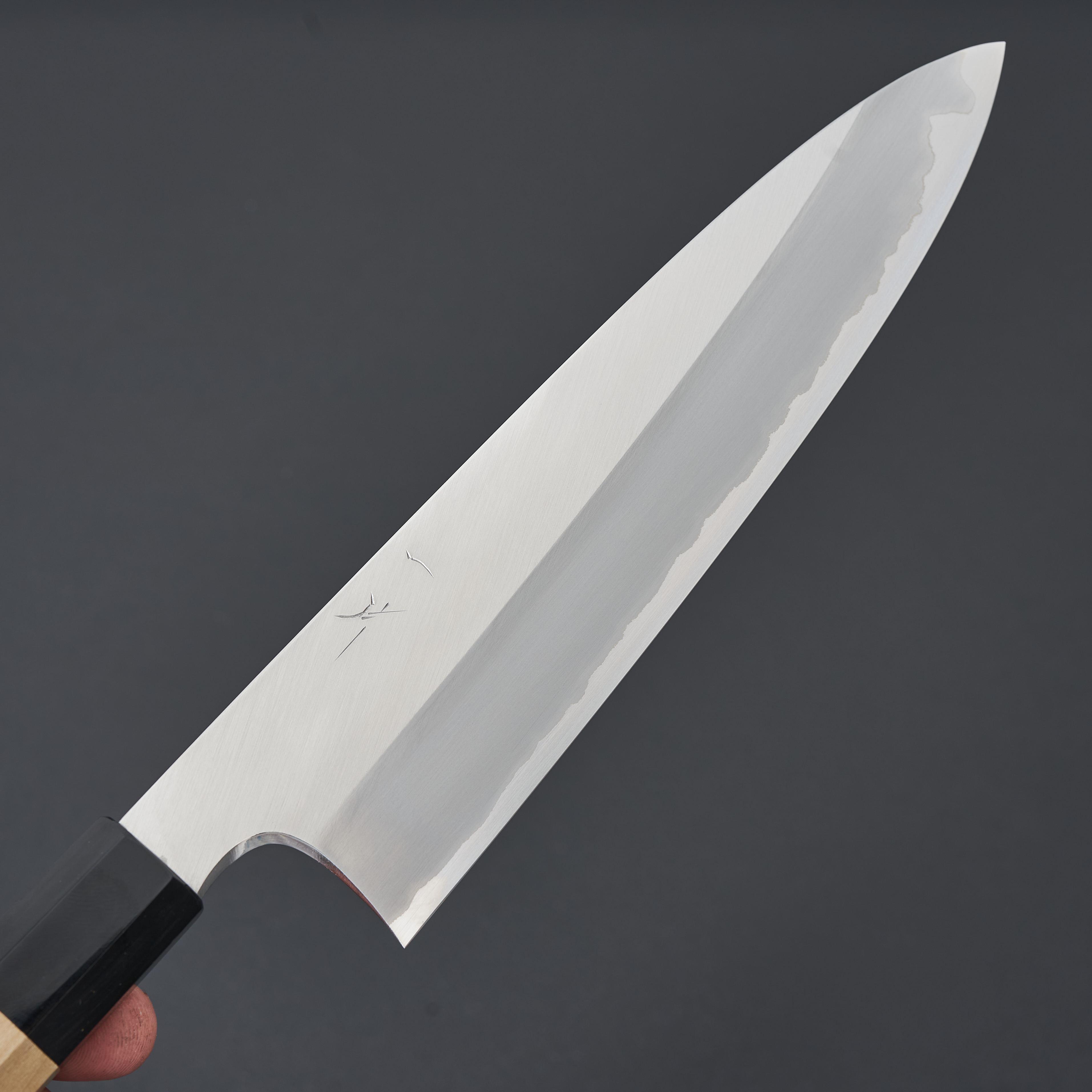 Hitohira Togashi White #1 Stainless Clad Gyuto 210mm Japanese Chef Knife with Ho Wood Handle - Professional Kitchen Knife for Slicing, Dicing & Meat Cutting