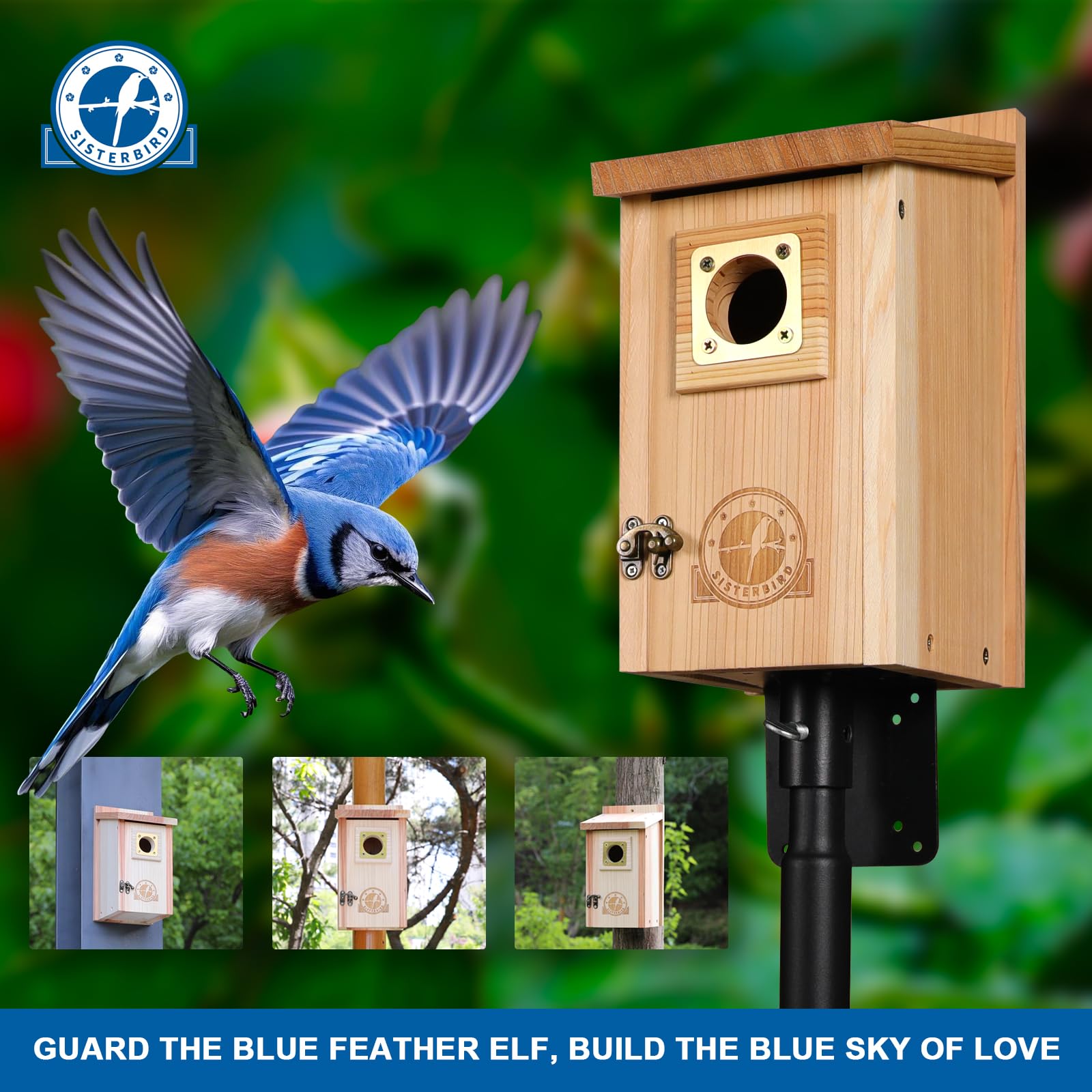 2 Pack Cedar Bird Houses with Copper Guard - Outdoor Birdhouse for Bluebirds, Finches, Swallows, Wrens & Chickadees - Easy Assembly - Perfect for Garden, Backyard & Nature Lovers