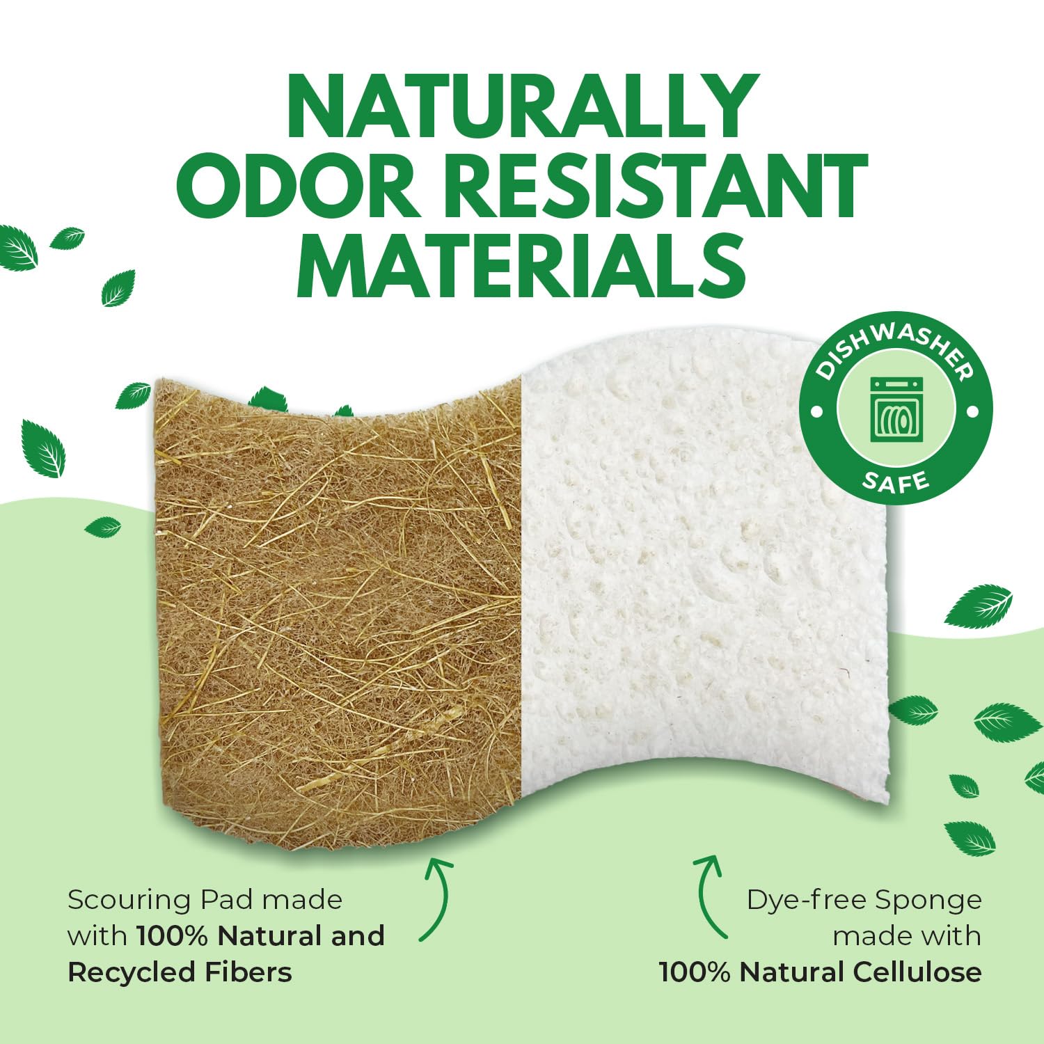 6 Pack Natural Kitchen Sponges - Eco-Friendly Cellulose & Coconut Husk Dish Sponges | Odor-Free, Non-Scratch Walnut Scrubber | Quick-Drying for Washing Dishes | Perfect for Daily Dish Cleaning, Kitchen Sink & Countertop Cleaning