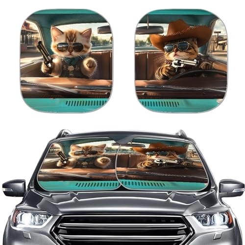 Cool Cat Driver