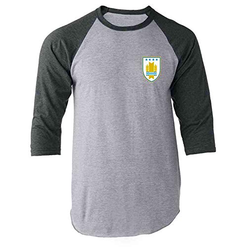Raglan | Grey Sleeves