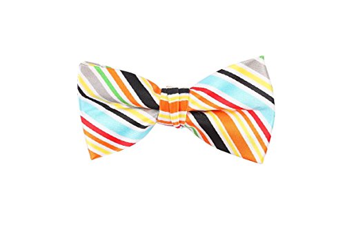 Multicolored Stripes