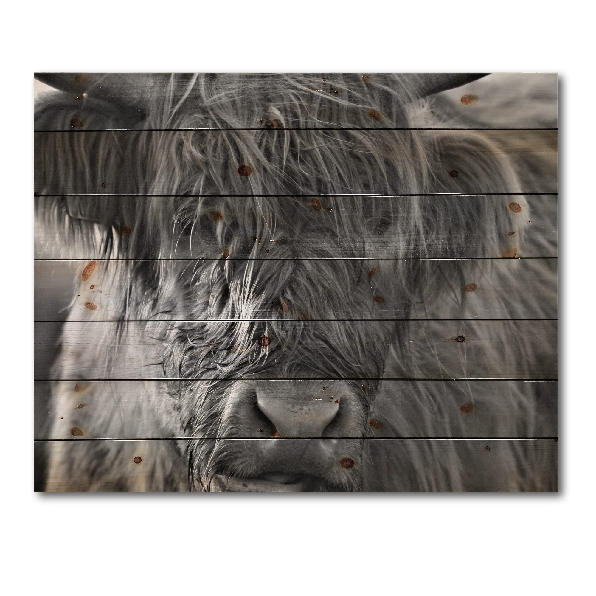 Scottish Highland Cows Living On Moorland Farmhouse Wood Wall Decor - Grey Wood Wall Art with Large Animals - Natural Pine Wood Wall Panels for Living Room, Bedroom & Farmhouse Decor