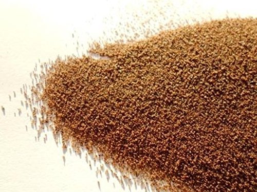 Chicory Root Extract 4:1 Powder | 100% Pure Herbal Supplement | 4g Jar | Supports Digestion & Gut Health | Perfect for Tea, Smoothies & Baking