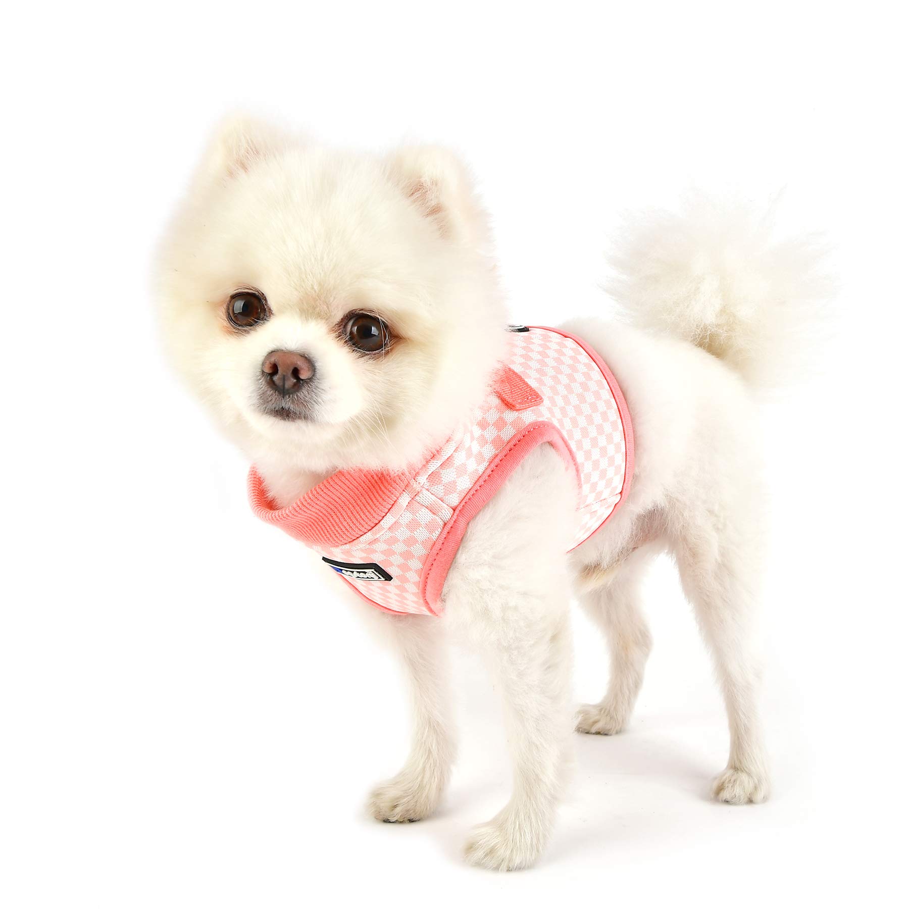 DOG STORY Beatrix Harness - Indian Pink Medium Size Adjustable Dog Vest for Small to Medium Dogs - Perfect for Walking, Hiking & Outdoor Adventures