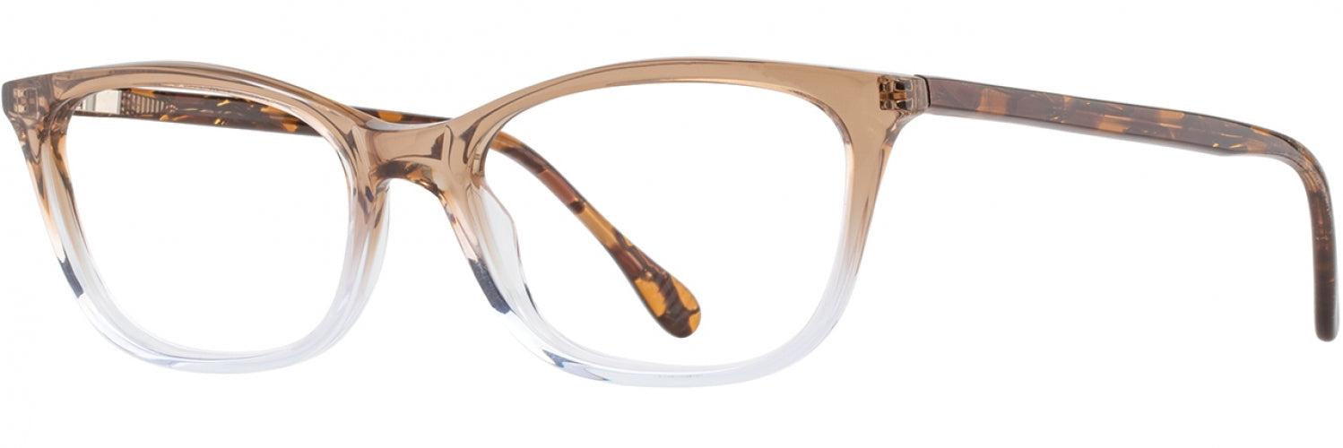 Alan J AJ528 Stylish Eyeglasses for Men & Women - Trendy Lightweight Frames for Reading, Driving & Everyday Use