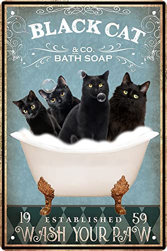 Black cat