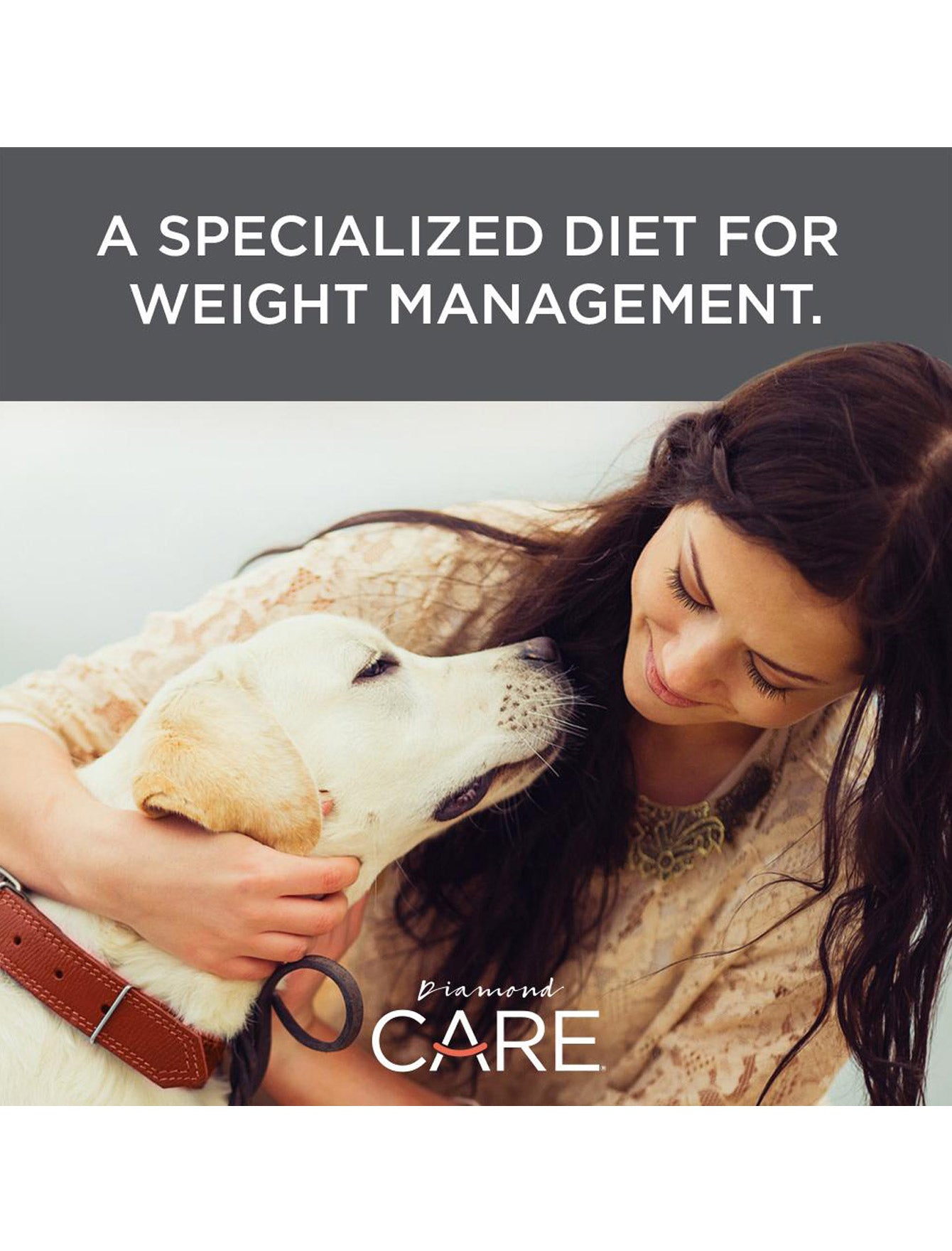 Premium Diamond Care Weight Management Formula Dry Dog Food for Adult Dogs - 8lb Bag | Healthy Weight Control & Nutrition for Overweight or Less Active Dogs