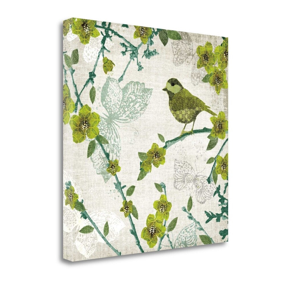 Birds And Butterflies II Canvas Art Print by Tandi Venter - Gallery Wrapped Giclee Wall Decor for Living Room, Bedroom & Office