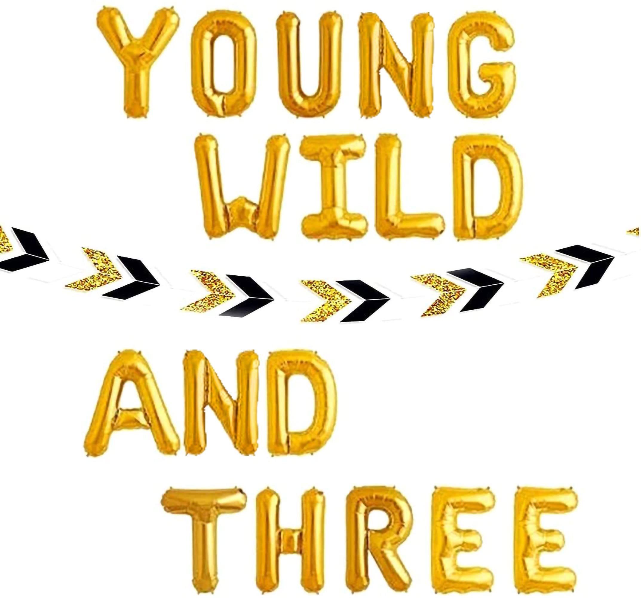 JeVenis Young Wild and Three Balloon Set - 3rd Birthday Party Decorations for Boys & Girls - Includes Banner & Balloons - Perfect for 3 Year Old Birthday Party Decor, Cake Smash, Photo Backdrop