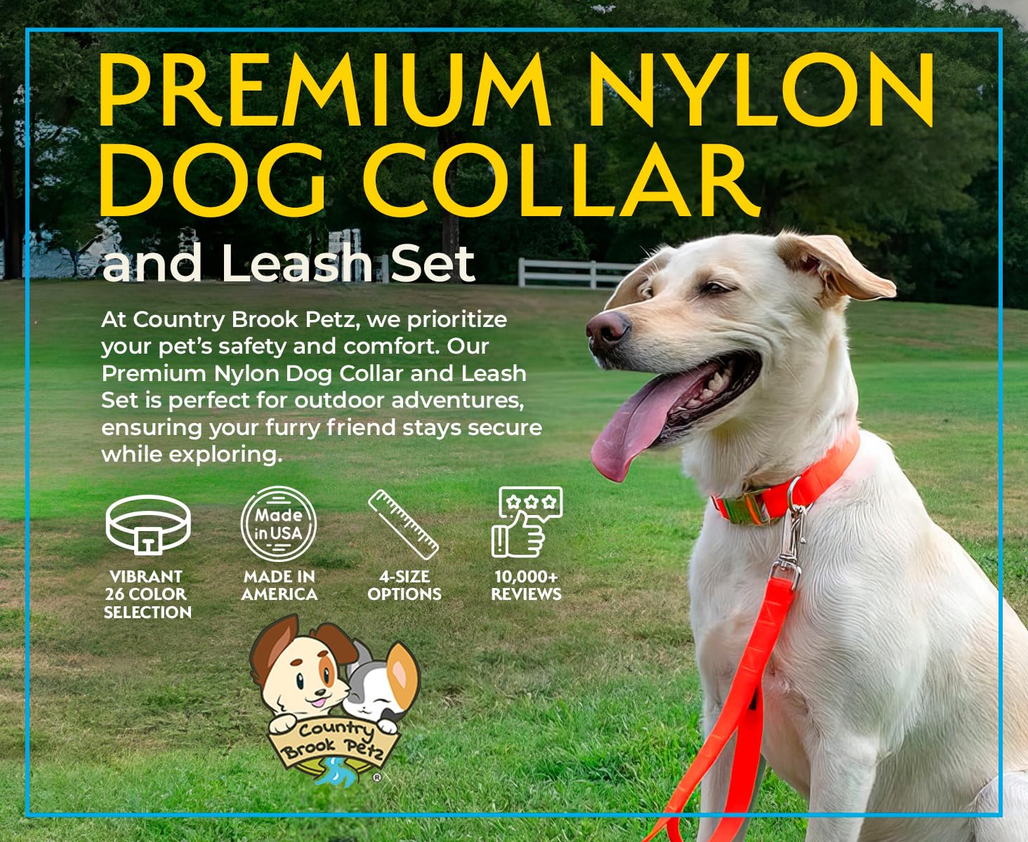 Country Brook Petz Premium Nylon Dog Collar and Leash Set - Adjustable for Small, Medium & Large Dogs, 3/4 Inch Width, Burgundy (30+ Vibrant Colors) - Perfect for Walking, Training & Outdoor Adventures