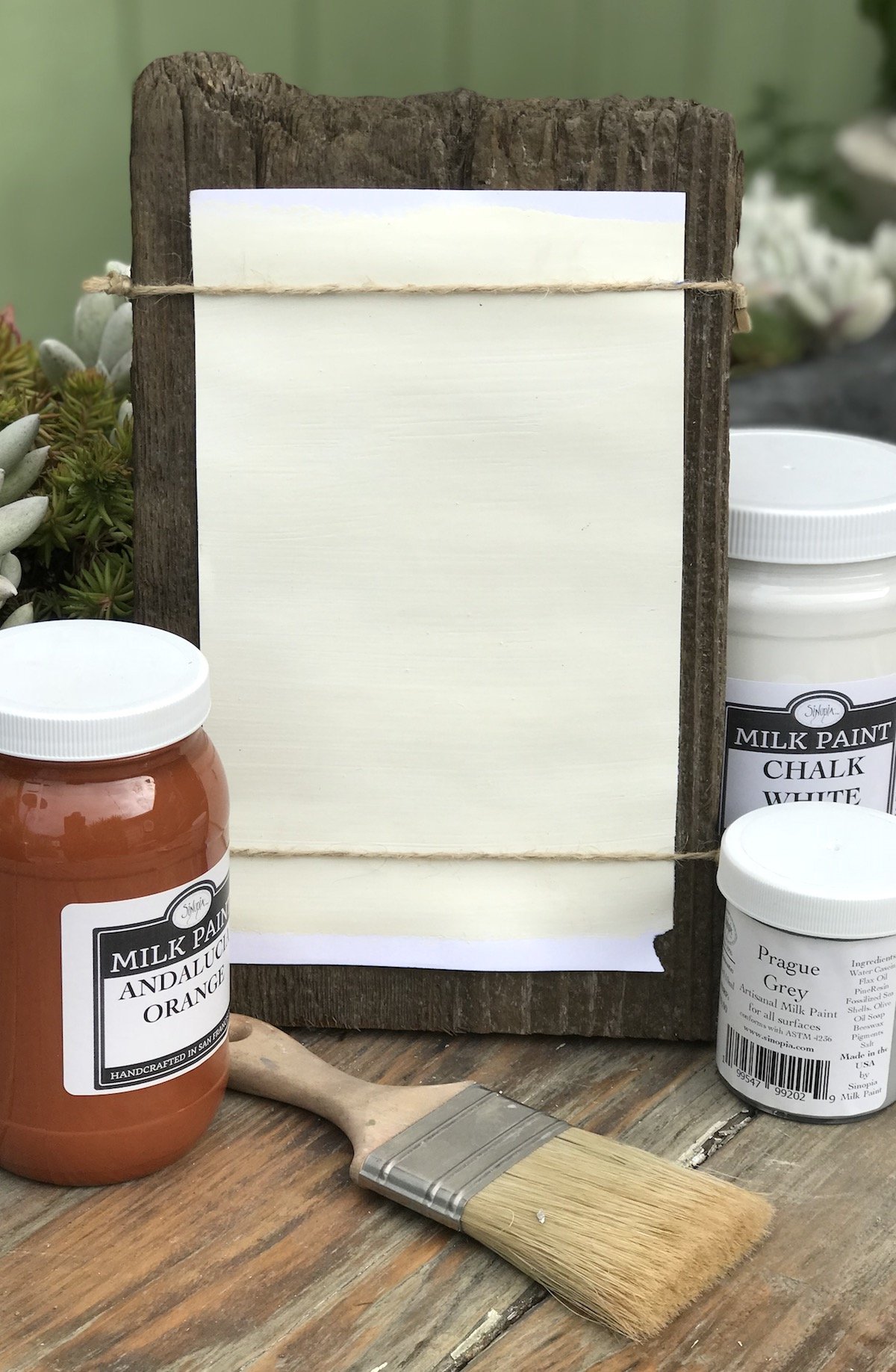 Sinopia All Natural Artisanal Milk Paint - Dairy White (1 Gallon) | Eco-Friendly, Non-Toxic Paint for Furniture, Cabinets & Home Decor | Perfect for DIY Projects & Vintage Restoration