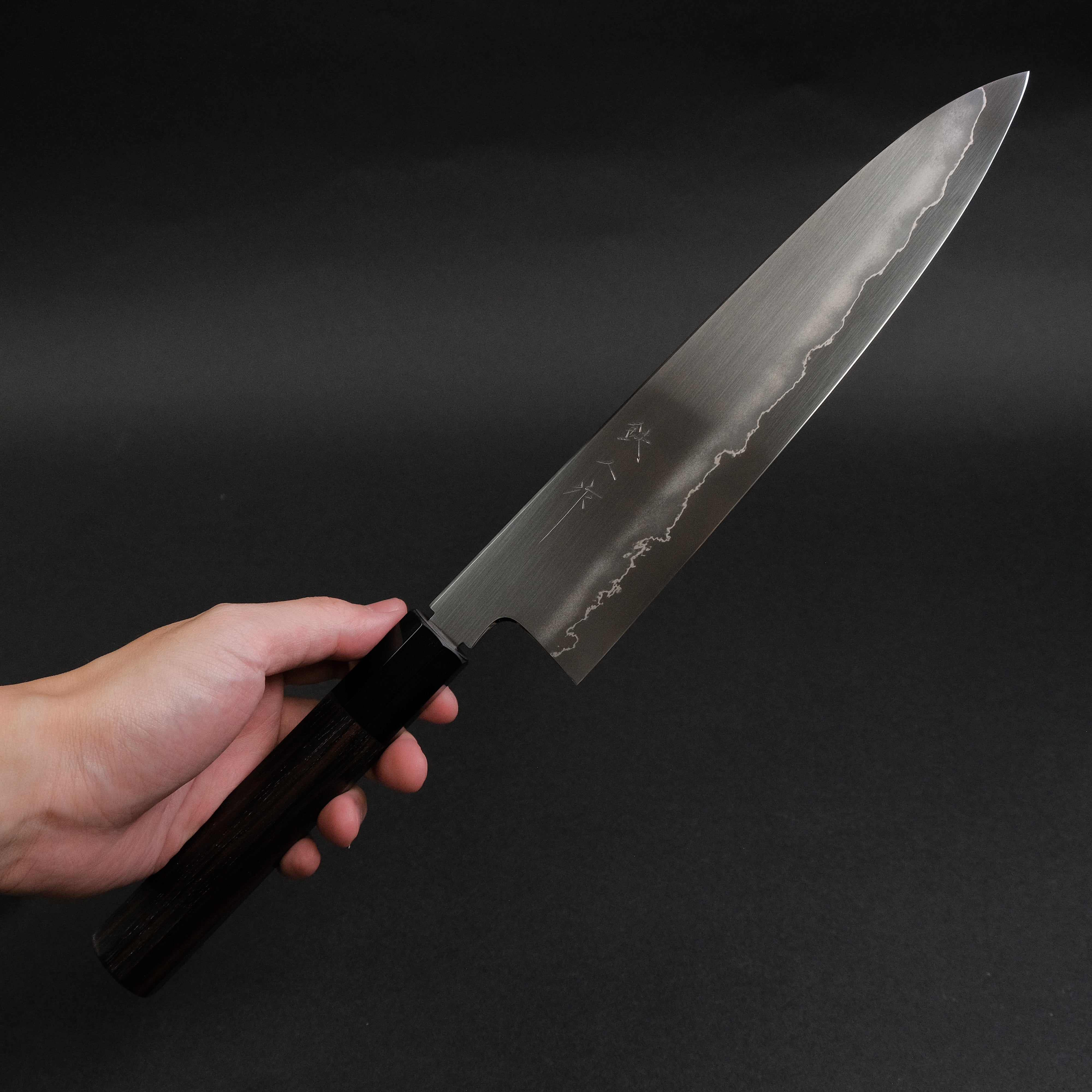 Tetsujin Silver #3 Ukiba Gyuto 240mm Japanese Chef Knife with Taihei Makassar Ebony Handle - Perfect for Sushi, Meat Cutting & Professional Kitchen Use