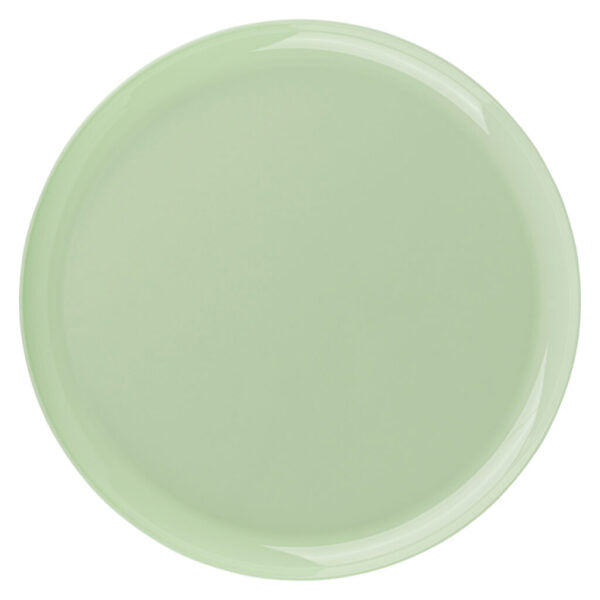 Premium Mint Green Round Plastic Plates - Set of 10, Elegant Dinnerware for Parties, Weddings & Special Occasions