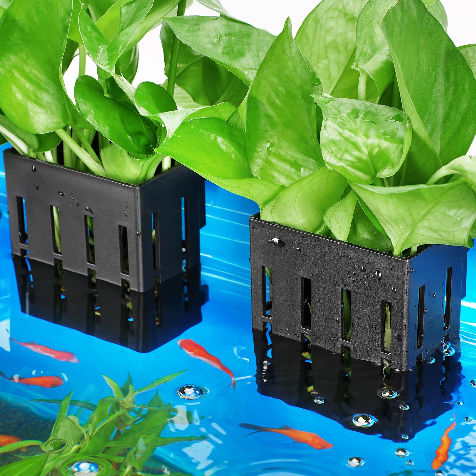 Upgraded Aquarium Plant Holder with Hooks & Suction Cups - Fish Tank Aquaponic Plant Cultivation & Aquascape Decorations (Black) - Perfect for Freshwater Planted Tanks, Betta Fish Habitats & Home Aquarium Decor