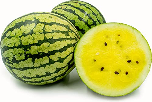 30+ Yellow Flesh Doll Babies Desert King Watermelon Seeds (Not Seedless) - Sweet Juicy Melon for Home Gardening, Farmers Market & Fresh Fruit Snacking