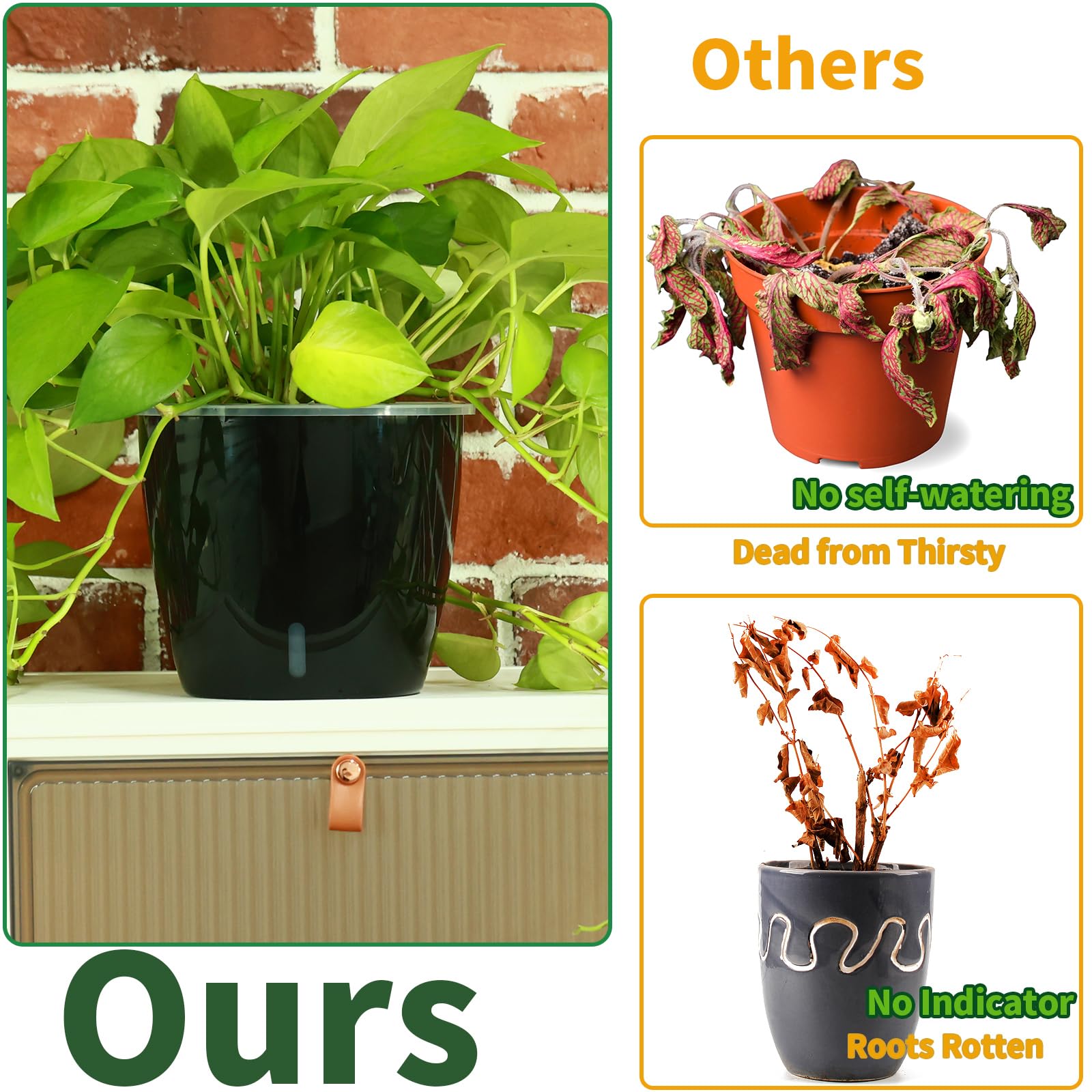 Planterhoma 5 Inch Self Watering Plant Pots - 6 Pack African Violet Pots with Water Level Indicator, Drainage Holes & Wick System - Ideal for Orchids, Devil's Ivy, Succulents & Indoor Plants - Perfect for Home, Office Decor & Gardening Gifts