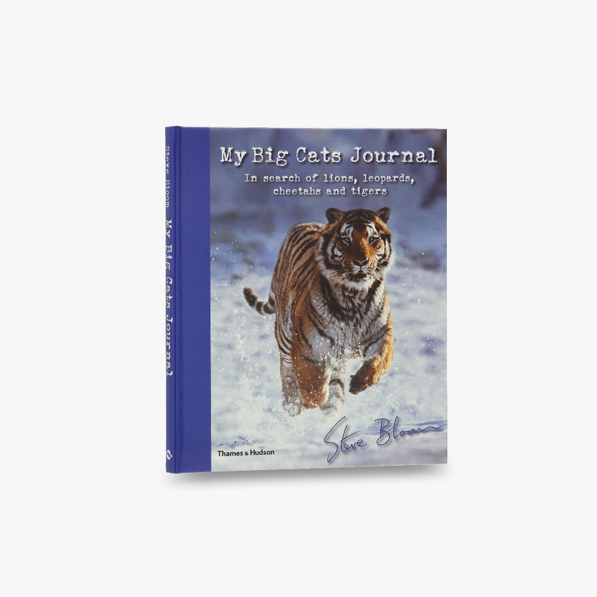 My Big Cats Journal - Premium Notebook for Cat Lovers, Wildlife Enthusiasts & Nature Journaling - Perfect Gift for Cat Owners, Animal Researchers & Zoo Visitors