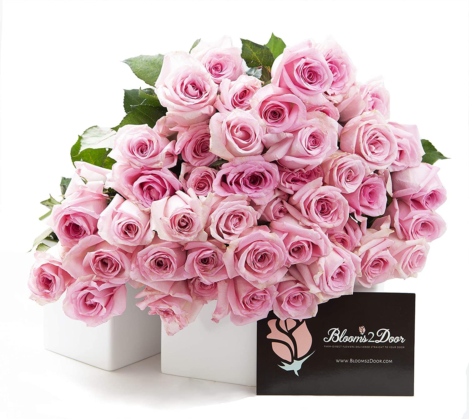 Premium 100 Pink Roses - Fresh Farm Direct Wholesale Flowers for Mother's Day, Birthday, Valentine's & Easter - Perfect for Weddings, Anniversaries & Home Decor