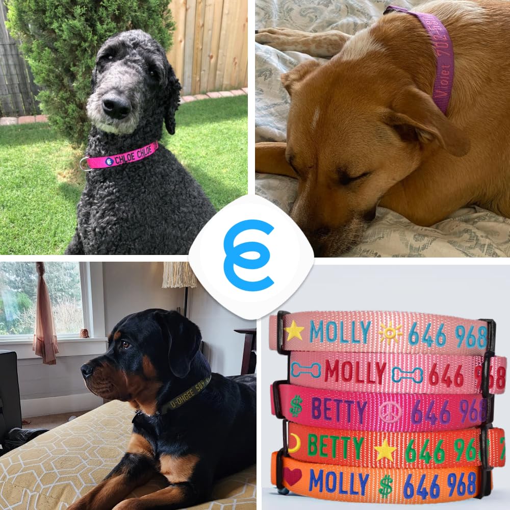 Personalized Dog Collars for Small Dogs - Adjustable Pet Collar with Custom Name & Phone Number Embroidery | Highlighter Yellow Small Dog Collar | Perfect for Daily Walks, Training & Identification