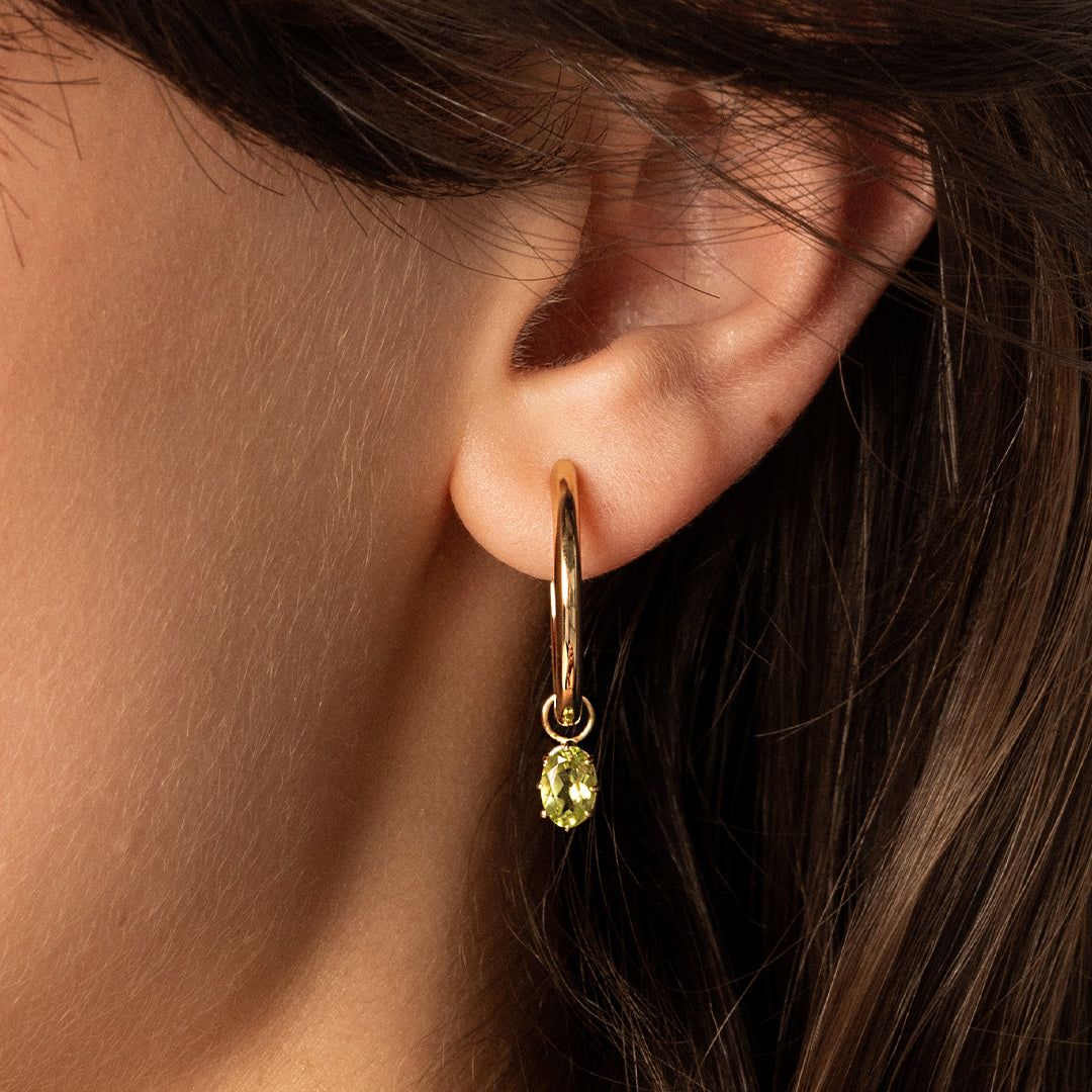 Heritage Hoop Charm Earrings Set of 2 - Vintage Style Gold/Silver Hoop Earrings for Women - Perfect for Everyday Wear, Date Night & Special Occasions