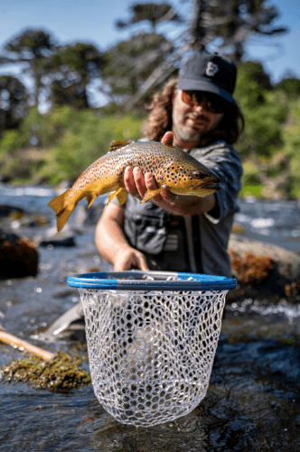 Premium Carbon Fiber Fishing Landing Net - Medium Size for Fly Fishing & Kayak Anglers - Lightweight & Durable for Catch & Release
