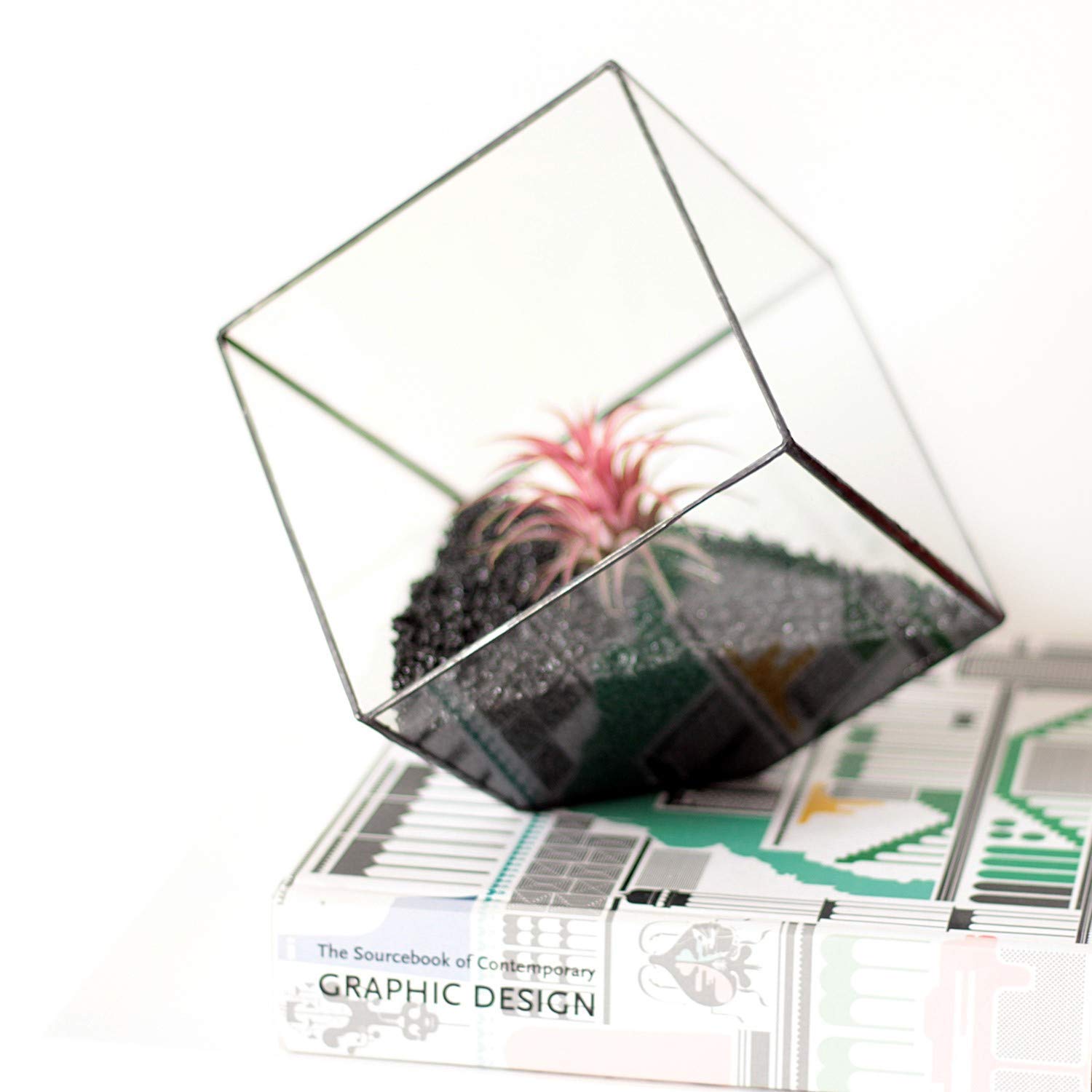 Waen Geometric Glass Terrarium - Medium Cube Planter for Succulents & Air Plants (Copper, Silver, Black) | Modern Home Decor, Office Desk Display & Wedding Centerpiece
