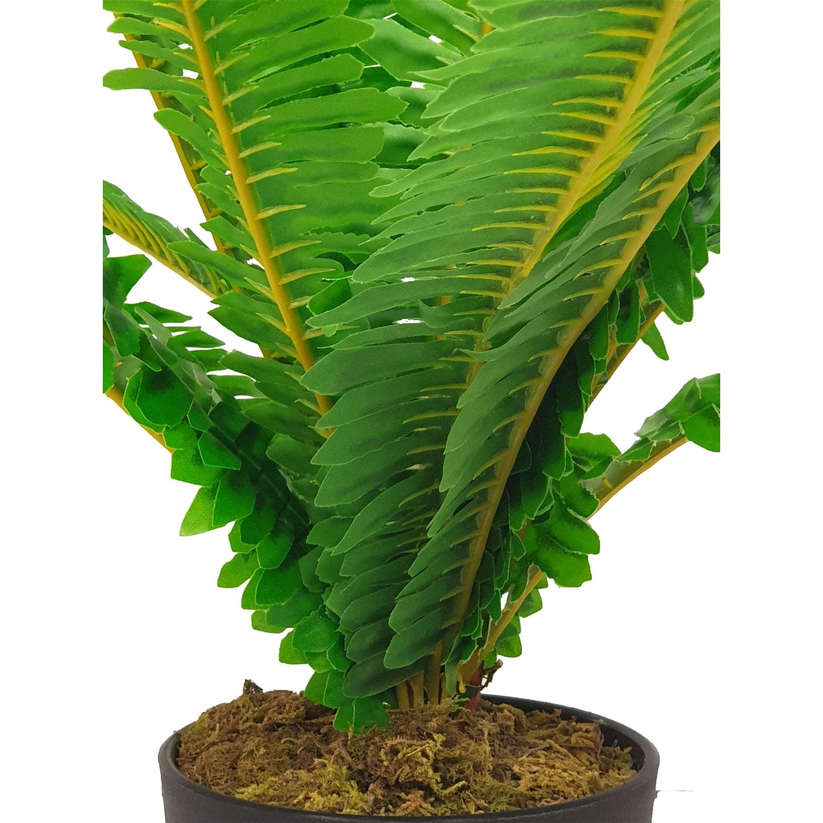 50cm Green Leaf Fern Artificial Plant by Criterion - Perfect for Home Decor, Office Spaces & Wedding Centerpieces