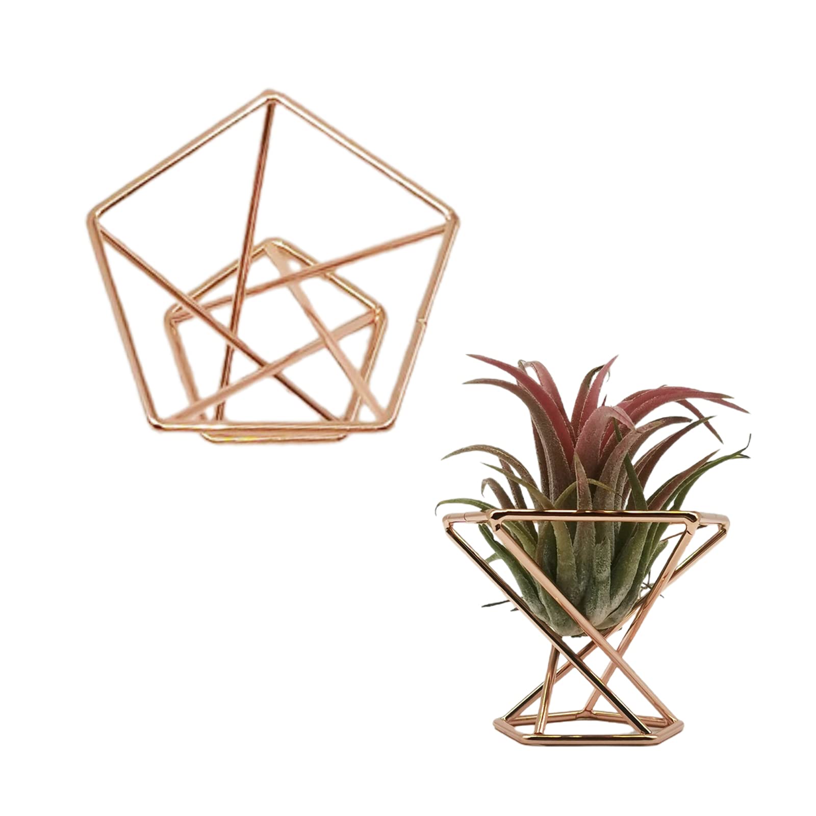 MSUIINT 6-Piece Geometric Air Plant Holder Set - Modern Mini Tillandsia Display Stand with Shelf, Tabletop Fern Rack & Planter Pot for Home Decor | Perfect for Living Room, Office Desk & Gift Ideas