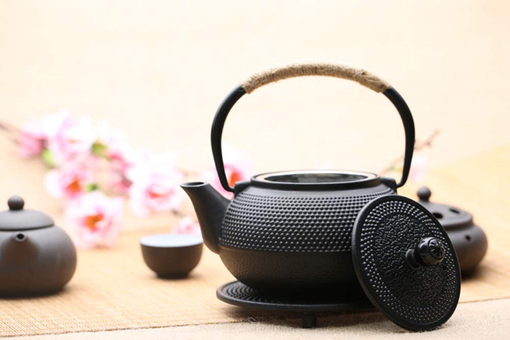Premium Cast Iron Teapot with Stainless Steel Infuser - 800ml/27oz Japanese Style Iron Tea Kettle for Loose Leaf Tea & Tea Bags - Stovetop Safe for Gas/Electric - Perfect for Home, Office & Tea Ceremonies