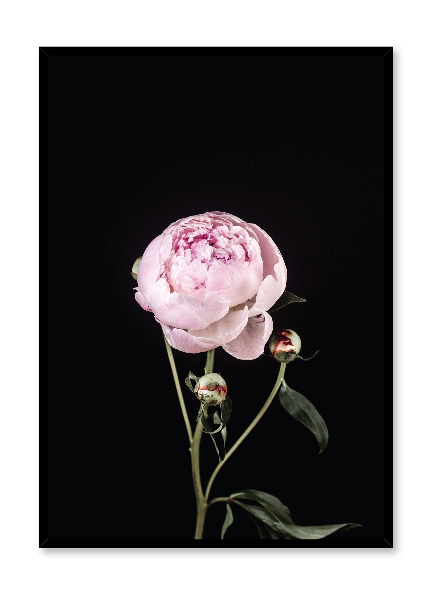 Perfection Poster - High-Quality Wall Art Print for Home & Office Decor - Perfect for Living Room, Bedroom, or Gift Giving