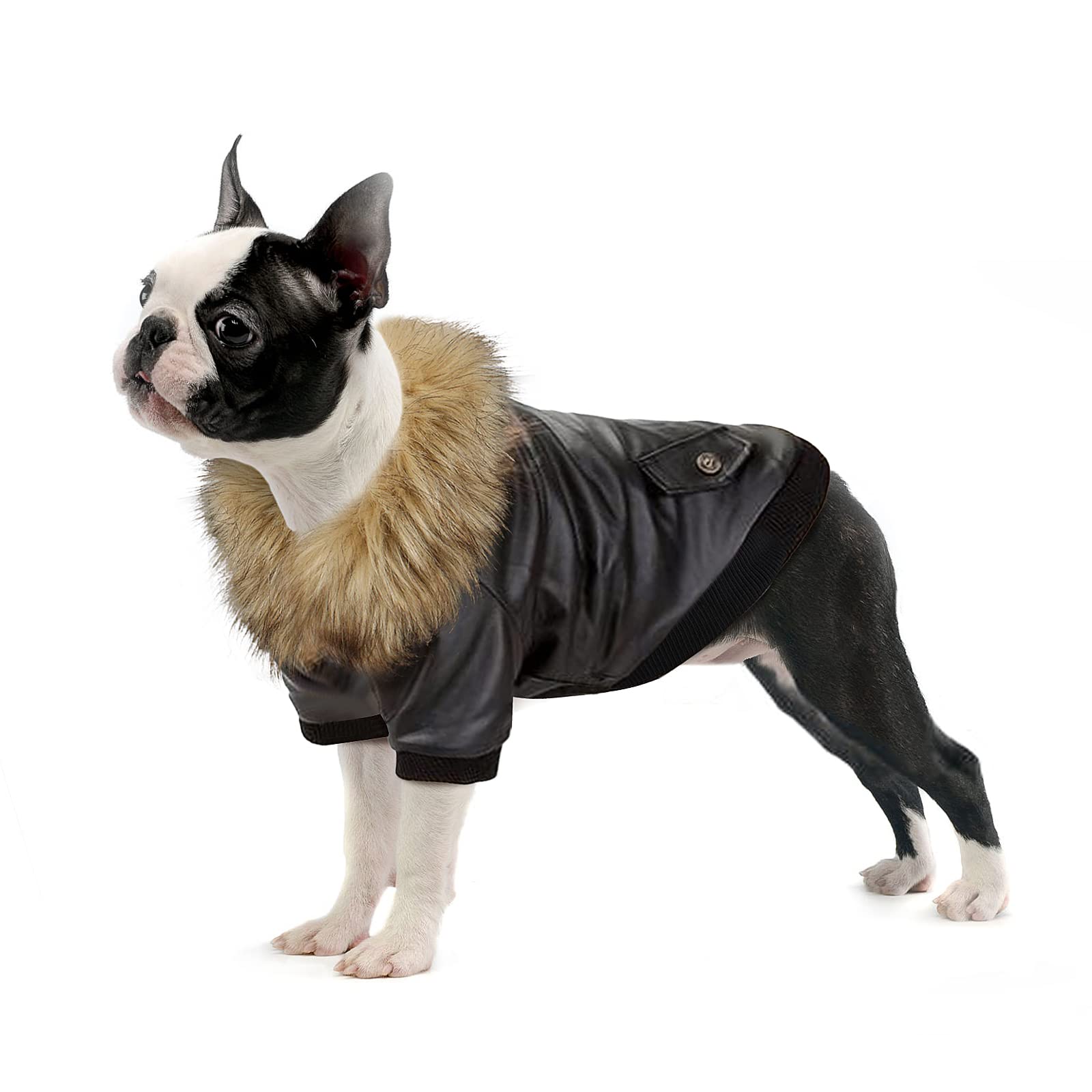 NAMSAN Small Dog Coat - Winter Pet Sweater for Small to Medium Dogs | Warm Windproof Jacket for Puppies & Cats | Dog Parka & Snowsuit for Cold Weather | Perfect for Outdoor Walks, Snow Play & Winter Adventures
