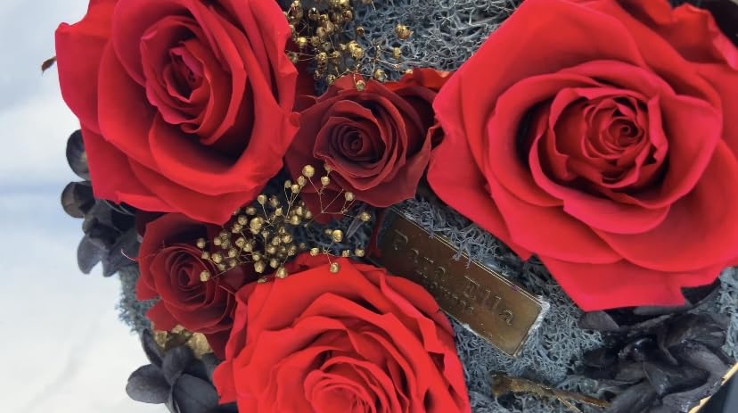 Eternal Red Rose Gift for Her - LED Flower in Heart Shaped Box, Artificial Preserved Roses for Anniversary, Valentine's Day, Wedding & Christmas | Romantic Home Decor, Bedroom Centerpiece, Girlfriend/Mother Gift Idea