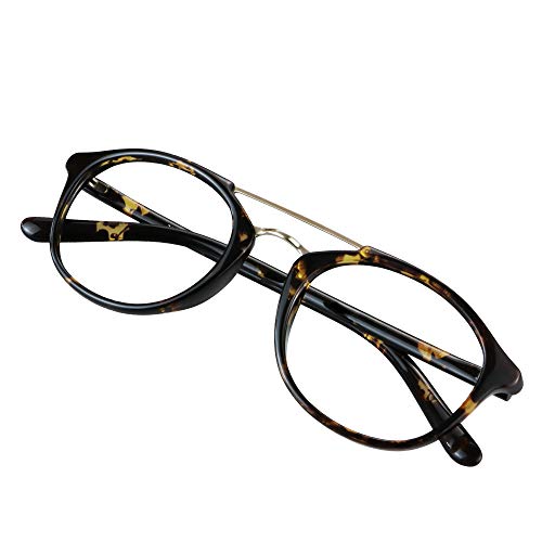 S2632_tortoise(c1)