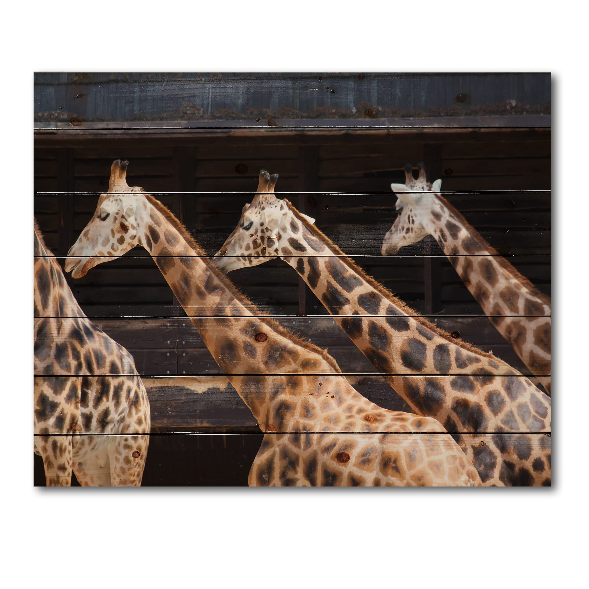 DesignQ Three Giraffes Running Farmhouse Wood Wall Decor - Brown Wood Wall Art with Large Animal Prints on Natural Pine Wood - Perfect for Living Room, Bedroom & Nursery Decor