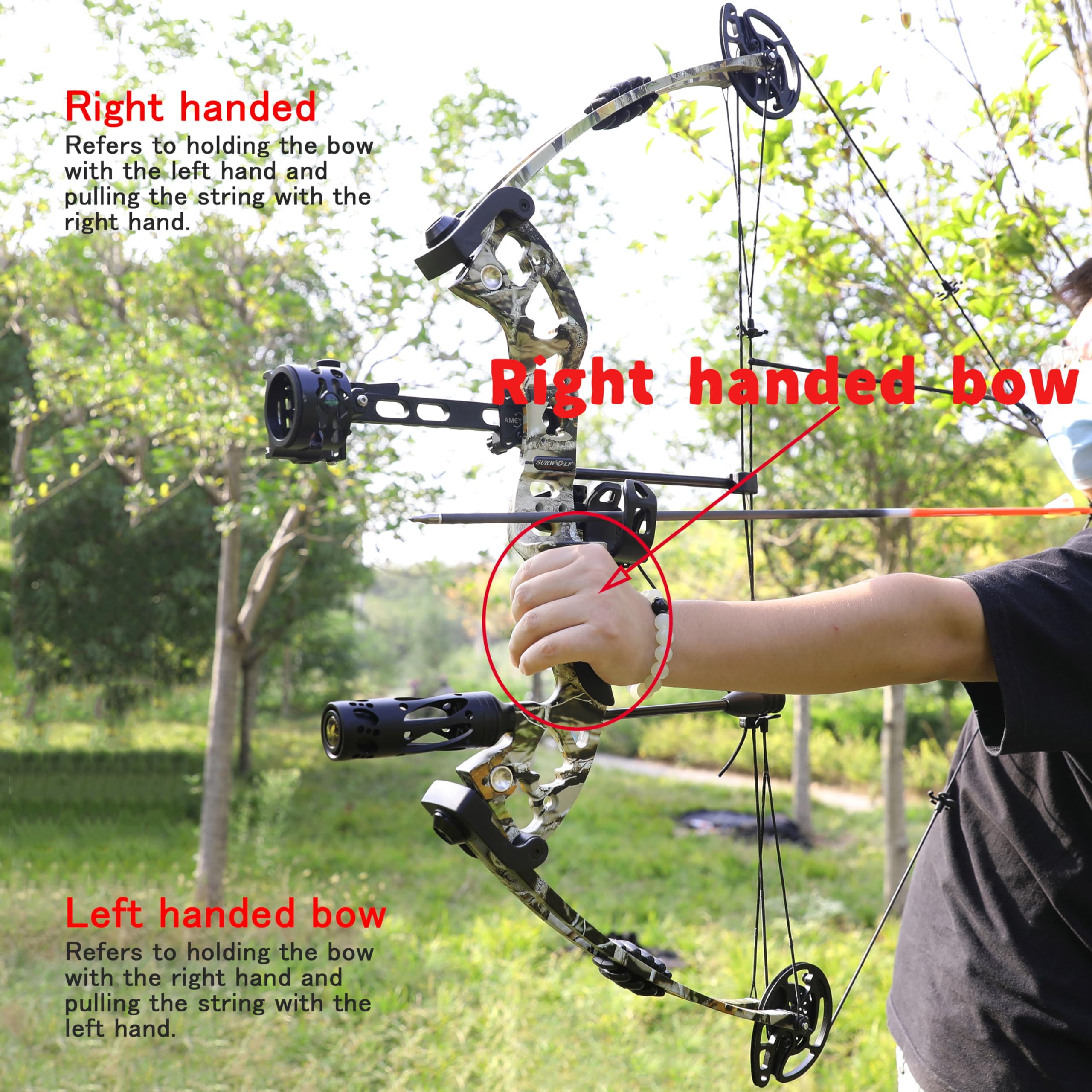 Compound Bowfishing Kit with Reel & Arrows - Right/Left Hand for Adults & Youth - Perfect for Fishing, Hunting & Target Practice