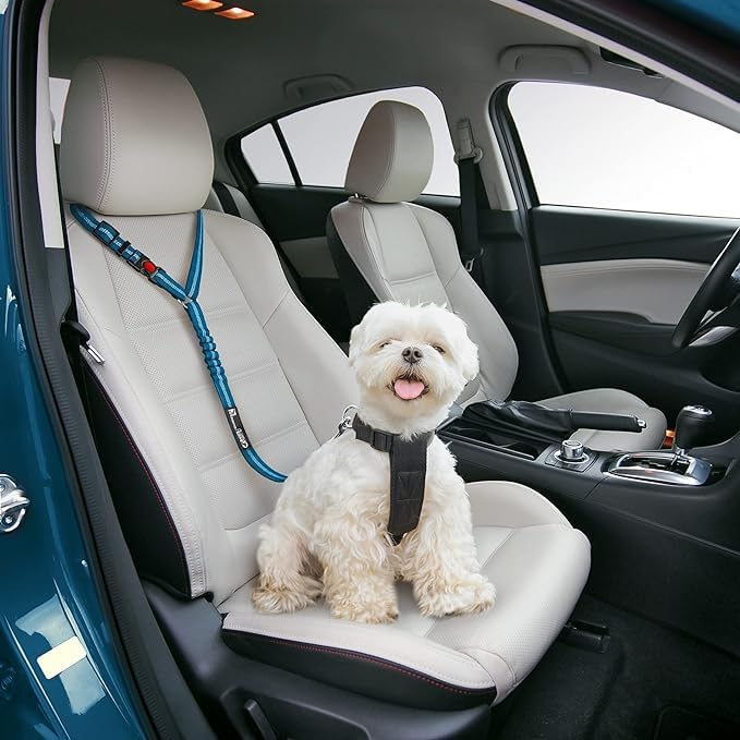 Premium Dog Car Seat Belt - Elastic Nylon Pet Safety Harness with Tangle-Free Headrest Strap for Vehicle Travel | Durable & Comfortable for Small to Medium Dogs | Perfect for Road Trips, Daily Commutes & Vet Visits (Blue)
