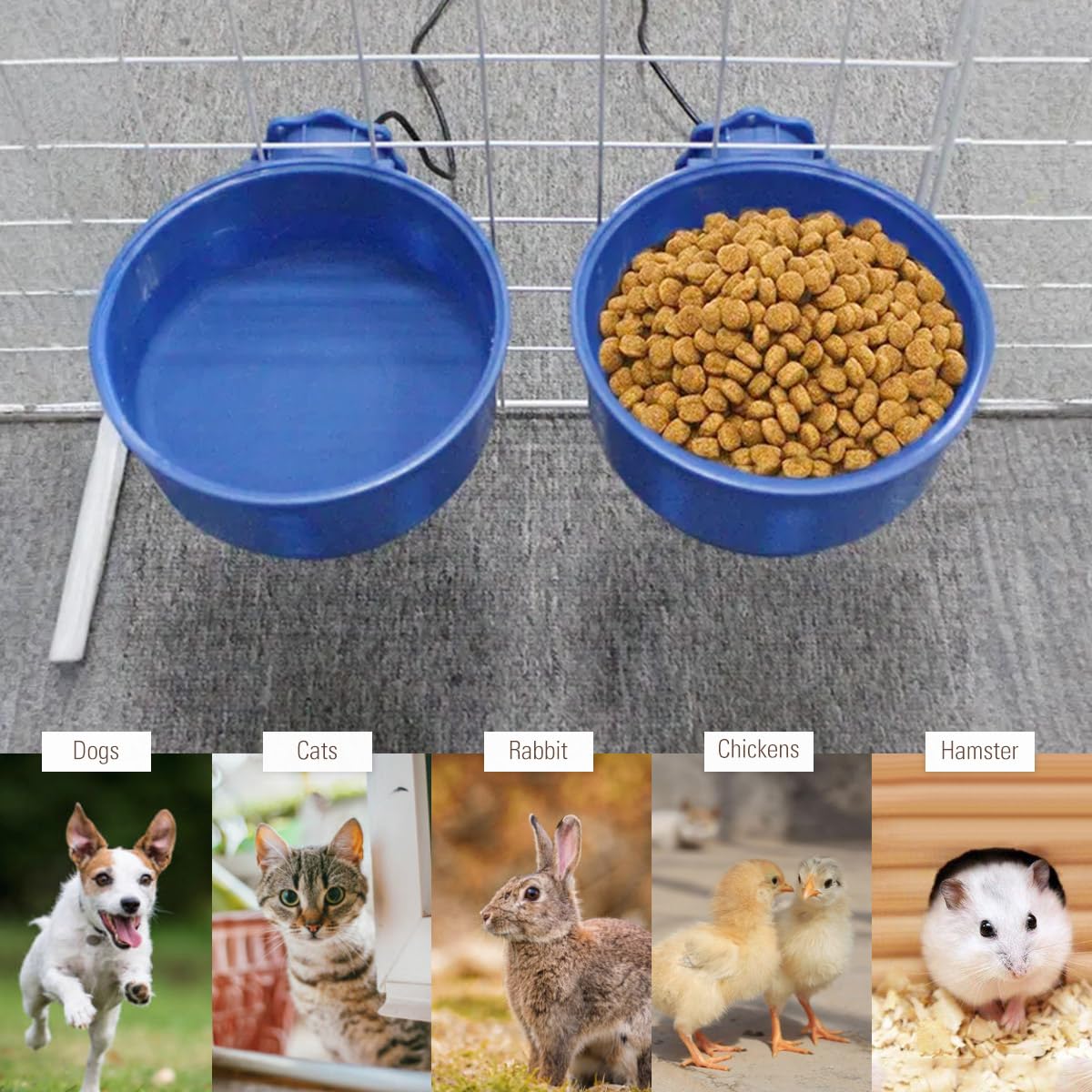 Heated Water Bowl for Cats, Rabbits & Small Dogs - 600ml (20oz) Indoor Pet Feeder with Hanging Hook - Perfect for Cages, Crates & Cold Weather Use