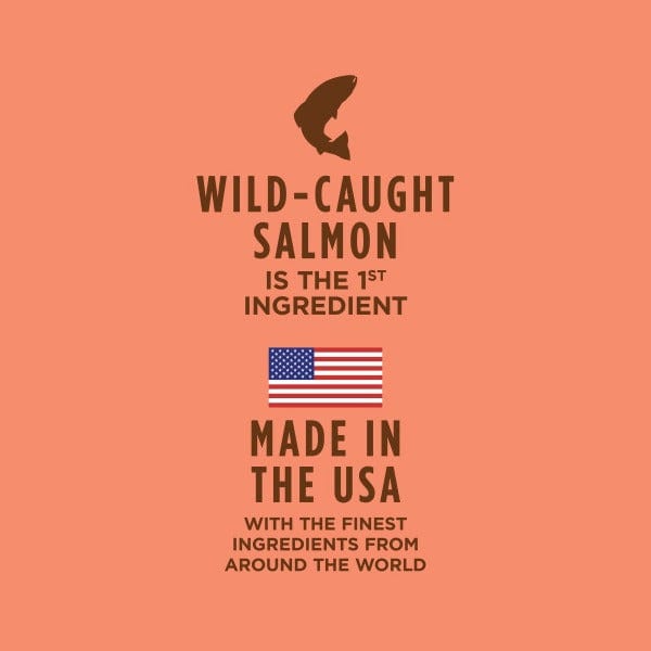Instinct Healthy Cravings Real Salmon Recipe Grain-Free Wet Dog Food Pouches - High Protein Natural Puppy & Adult Dog Food - Perfect for Travel, Hiking & Training Treats