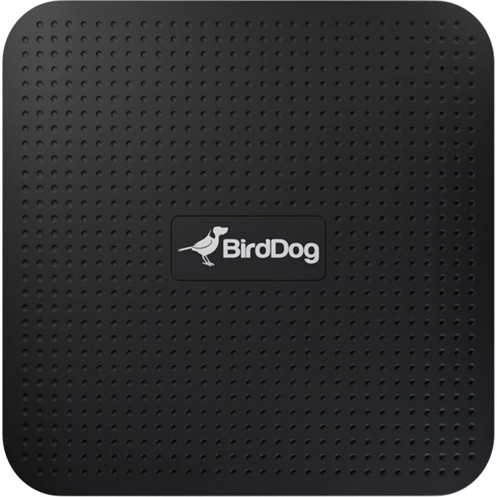 BirdDog Play 4K NDI Player - Professional Video Streaming Device for Live Productions, Church Broadcasts & Sports Events
