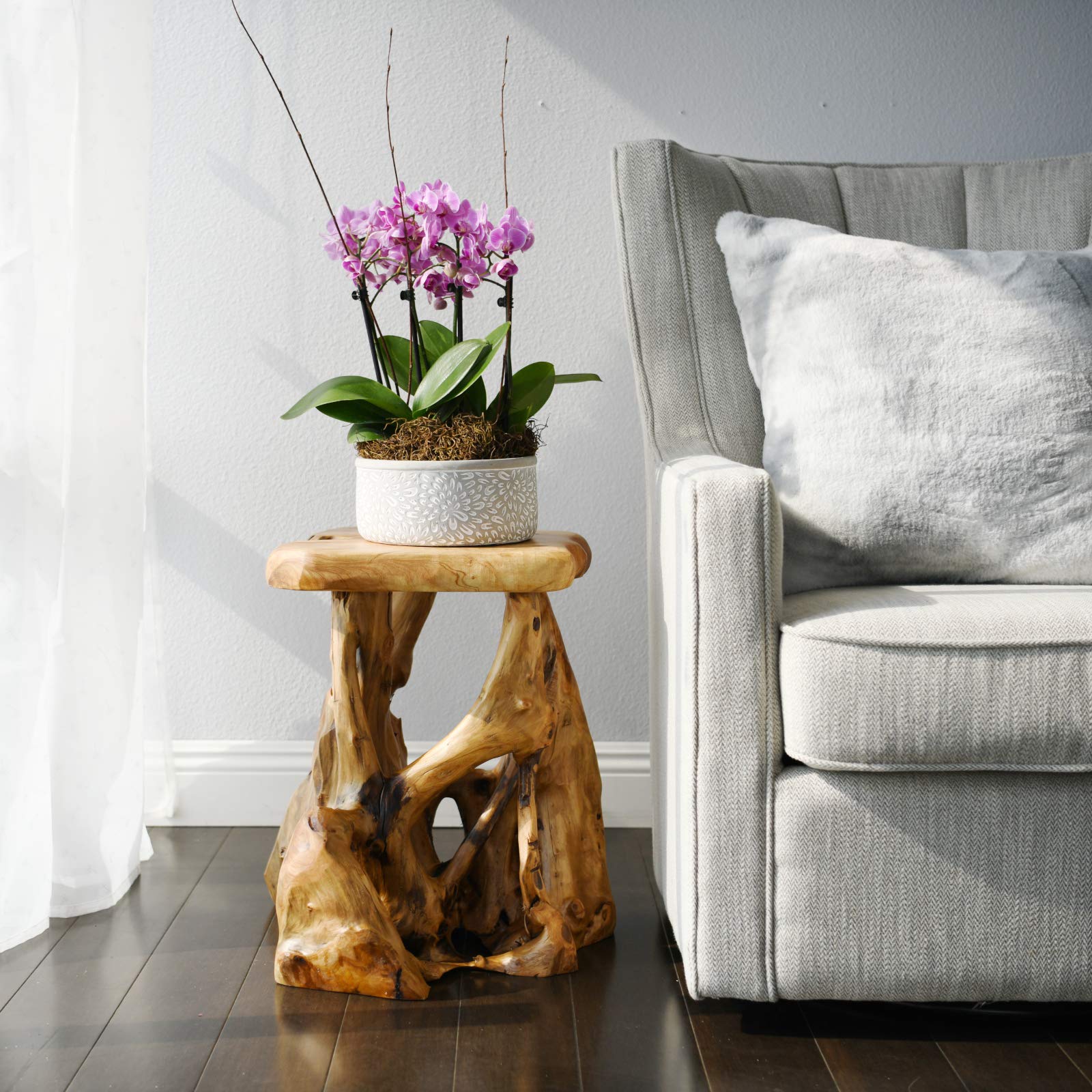 WELLAND Cedar Root Wood Log Side Table - Rustic Live Edge End Table for Living Room, Bedroom, or Patio - Natural Primitive Wooden Accent Table for Home Decor