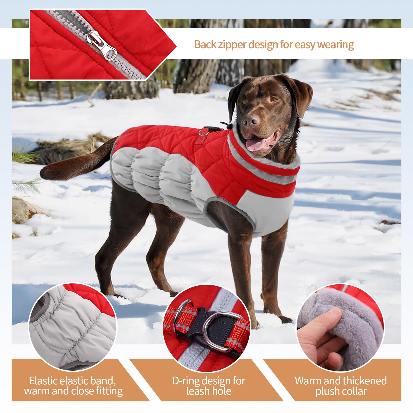 Waterproof Fleece-Lined Dog Winter Coat for Medium Dogs - Warm Zip-Up Jacket with D-Ring for Cold Weather, Snowsuit for Pug & Boston Terrier (Red, Size M) - Perfect for Winter Walks & Outdoor Adventures